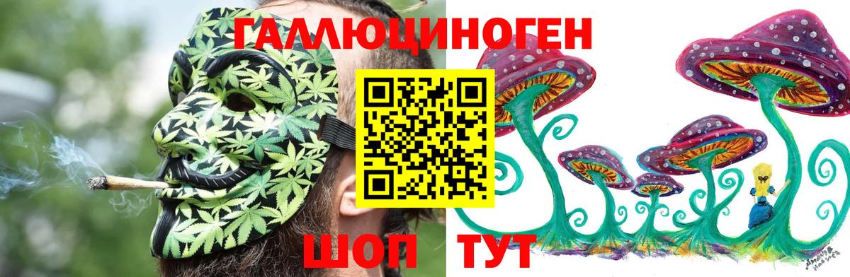 Псилоцибиновые грибы Magic Shrooms  Галлюциногенные грибы GOLDEN TEACHER  Вход с VPN  Чебоксары 